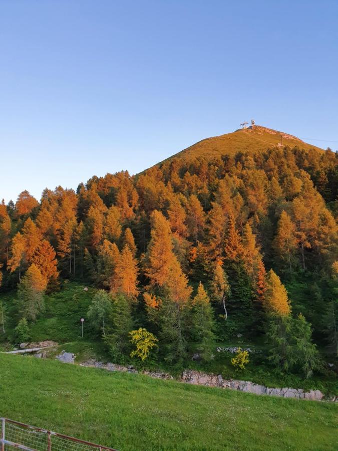 ホテルRifugio Campelli バルツィオ エクステリア 写真